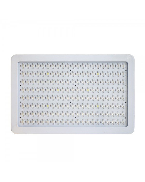 LED Grow light Classic-300W