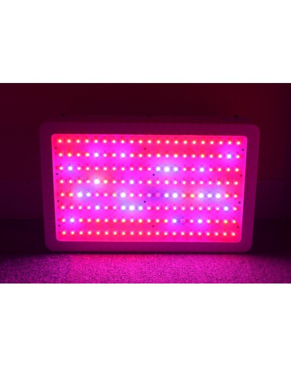 LED Grow light Classic-300W