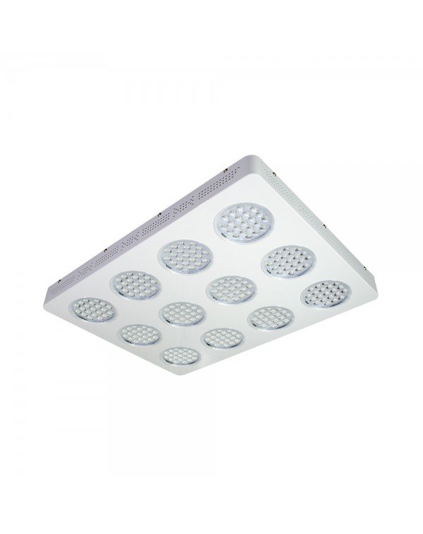 LED Grow light Sunny-720W