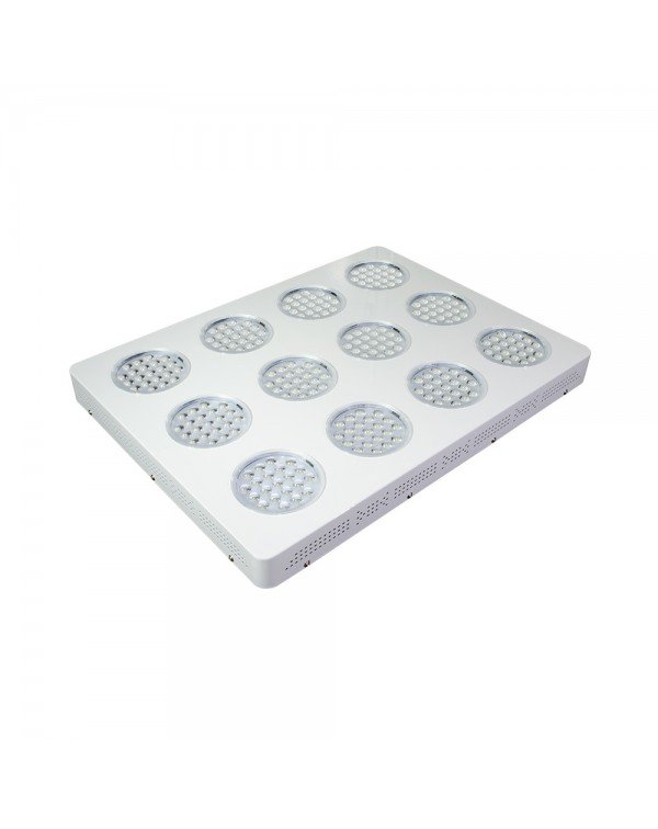 LED Grow light Sunny-720W