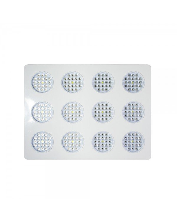 LED Grow light Sunny-720W