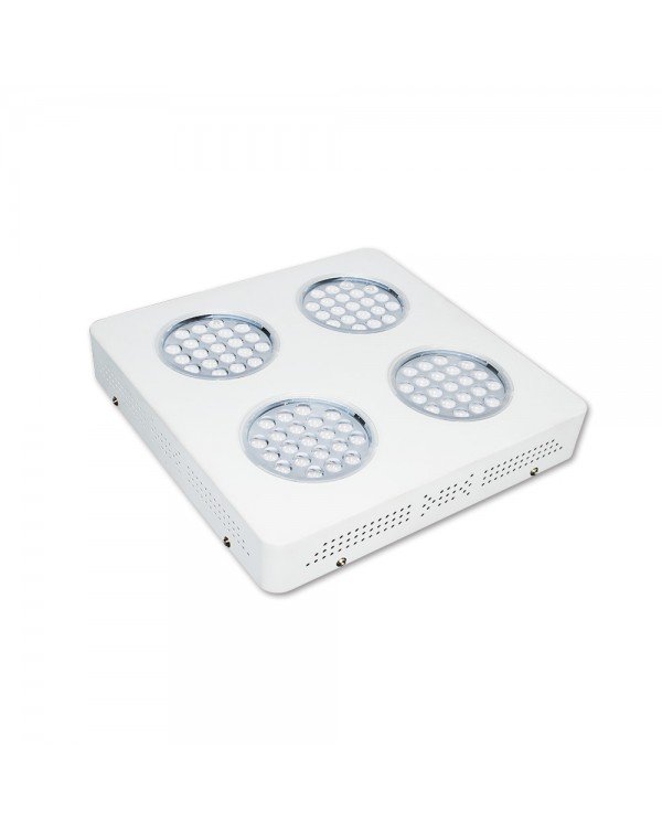 LED Grow light Sunny-240W