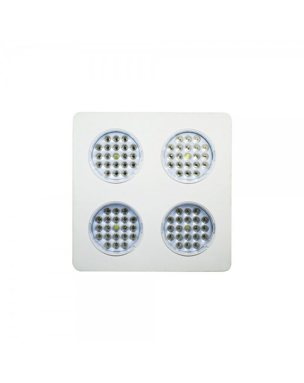 LED Grow light Sunny-240W