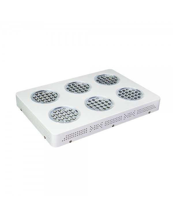 LED Grow light Sunny-360W