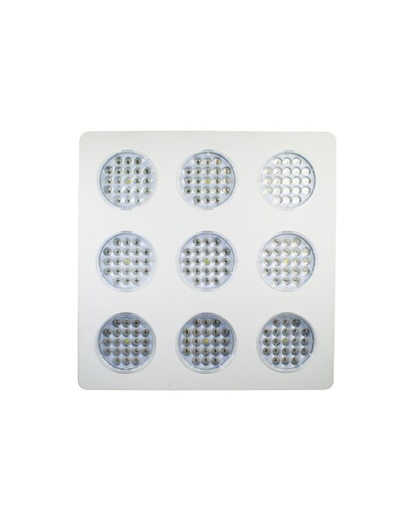 LED Grow light Sunny-540W