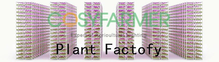 Plant factory