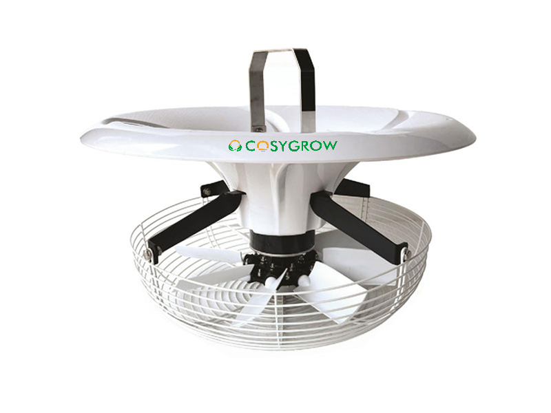vertical circulation fan